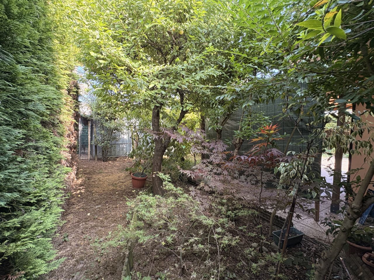 Casa indipendente a Villanova Di Camposampiero - Villanova di Camposampiero - Centro, foto 11